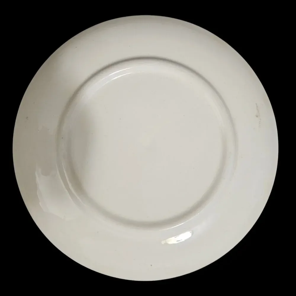 Vintage Floral Dessert Plates Set of 4 White Blue Pink Cottagecore